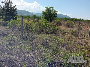 image_8