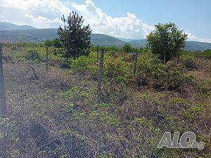 image_9