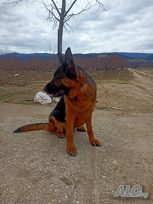 image_10