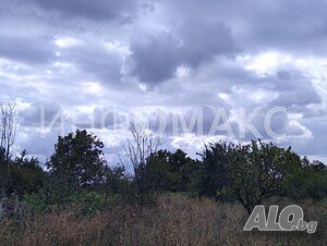 image_9
