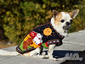 image_6