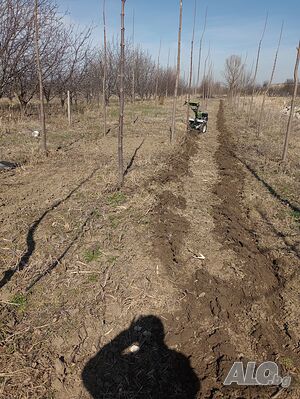 image_4