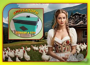 Инкубатори - Борисов