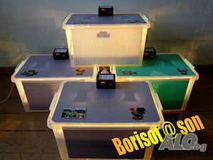 image_7