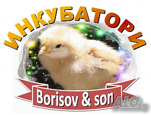 Инкубатори от Borisof & son