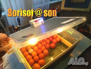 image_4
