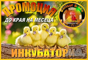 Автоматични и полуавтоматични инкубатори - ниски цени