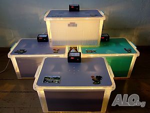image_4