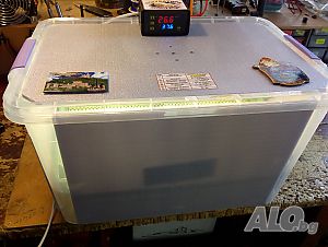 image_5