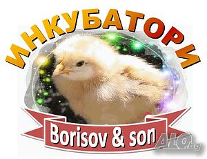 Инкубатори - Борисов