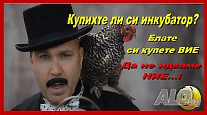 Инкубатори - цени народни