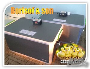image_3