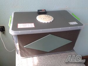 image_7