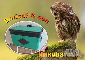 Инкубатори - Borisof & son