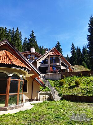 image_11
