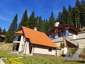 image_12