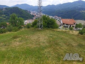 image_4