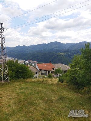 image_6