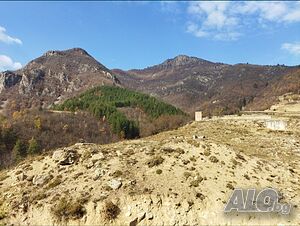 image_11
