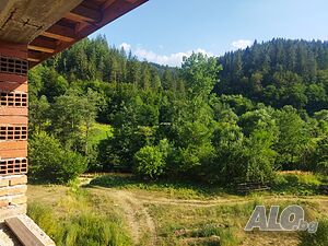 image_12