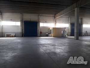 image_6
