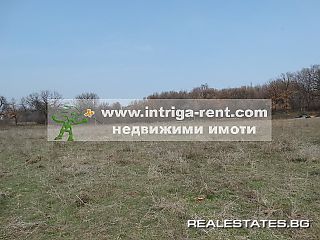 image_13