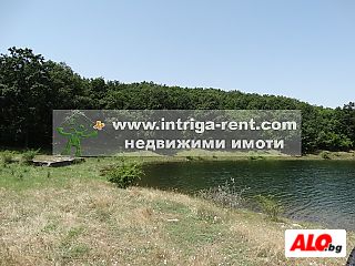 image_11