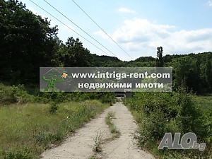 image_6