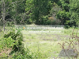 image_11