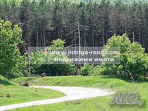 image_9