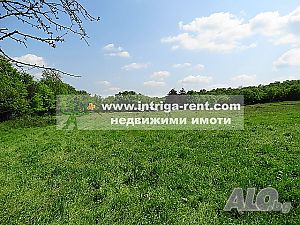 image_11