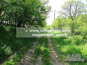 image_12