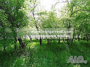 image_14