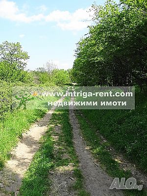 image_15