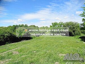 image_7