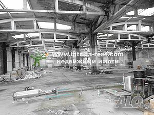 image_5