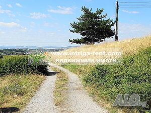image_7