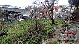 image_6