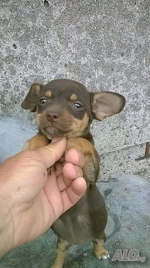 image_2
