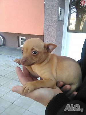 image_3