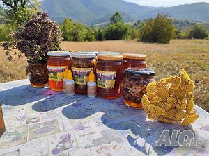 image_5