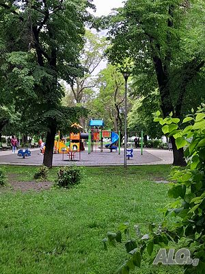 image_8