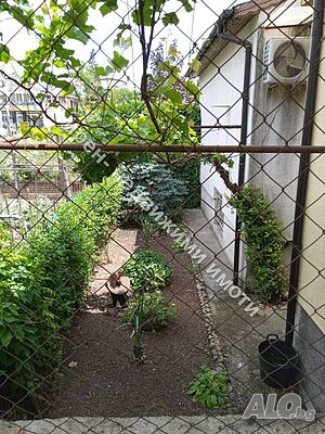 image_10