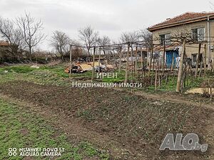 image_9