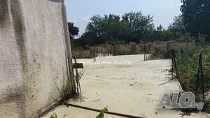 image_5