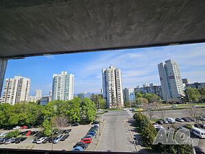 image_9
