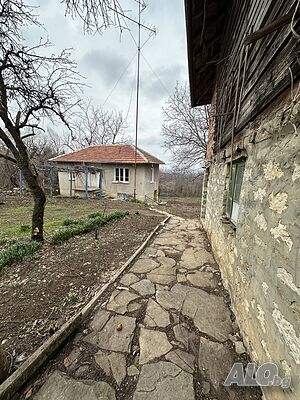 image_5