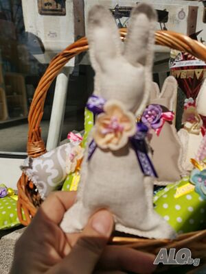 image_7