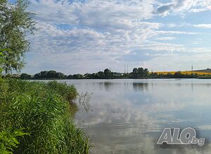 image_11