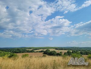 image_7